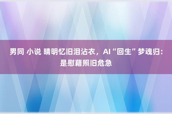 男同 小说 晴明忆旧泪沾衣，AI“回生”梦魂归：是慰藉照旧危急